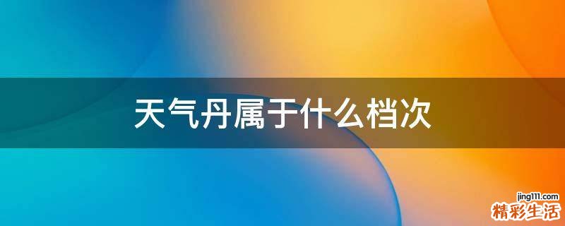 天气丹属于什么档次