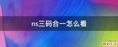 ns三码合一怎么看
