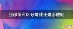 脸部怎么区分是胖还是水肿呢