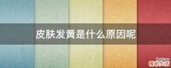 皮肤发黄是什么原因呢