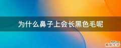 为什么鼻子上会长黑色毛呢