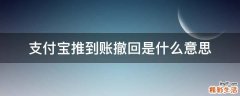 支付寶推到賬撤回是什么意思