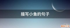 描写小鱼的句子