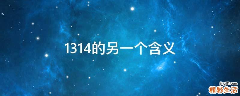 1314的另一个含义