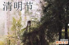清明节出行有忌讳吗 清明节出远门有忌讳吗