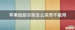 苹果脸部识别怎么突然不能用