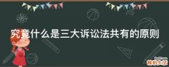 究竟什么是三大诉讼法共有的原则