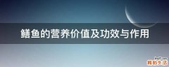 鳝鱼的营养价值及功效与作用