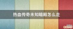 热血传奇未知暗殿怎么走
