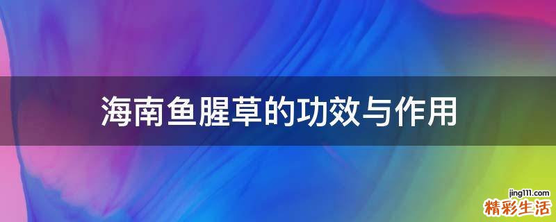 海南鱼腥草的功效与作用