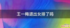 王一梅退出女排了吗