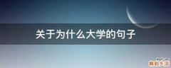关于为什么大学的句子