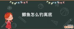 鲫鱼怎么钓离底