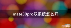 mate30pro双系统怎么开