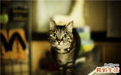 嗜睡是怎么回事