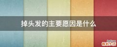 掉头发的主要愿因是什么