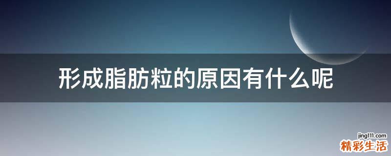 形成脂肪粒的原因有什么呢