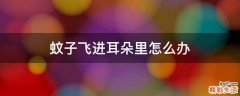 蚊子飞进耳朵里怎么办