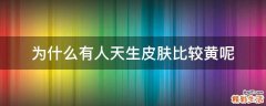 为什么有人天生皮肤比较黄呢