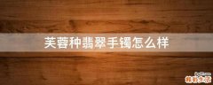 芙蓉种翡翠手镯怎么样