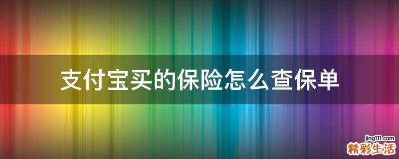 支付宝买的保险怎么查保单