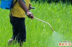 2023年4月23日補(bǔ)哪天的班周幾的課