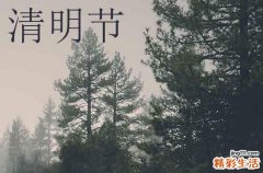 清明節(jié)思念親人的文案 清明節(jié)思念的句子