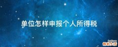 单位怎样申报个人所得税
