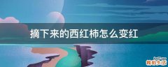 摘下来的西红柿怎么变红