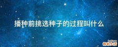 播种前挑选种子的过程叫什么