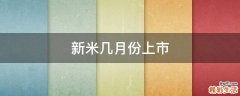 新米几月份上市