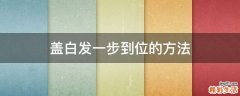 盖白发一步到位的方法