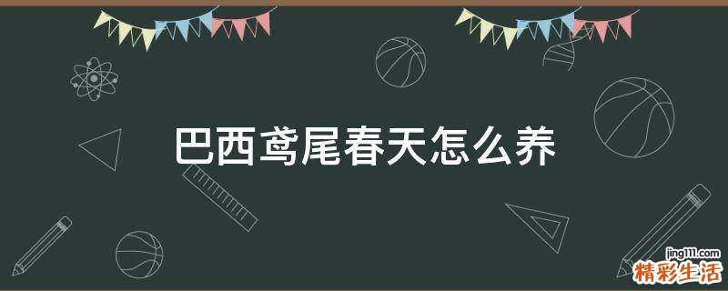 巴西鸢尾春天怎么养