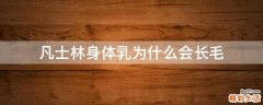 凡士林身体乳为什么会长毛
