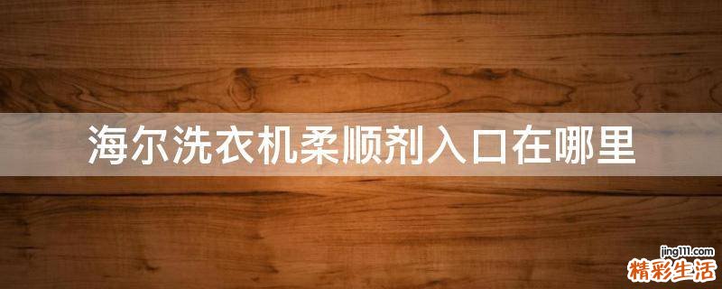海尔洗衣机柔顺剂入口在哪里