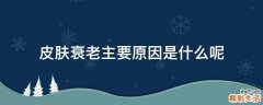 皮肤衰老主要原因是什么呢