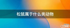 松鼠属于什么类动物