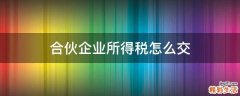 合伙企业所得税怎么交