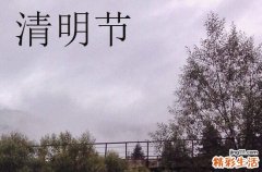 清明烧纸钱有什么讲究 清明烧纸钱哪种最好