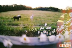 3 冬菇