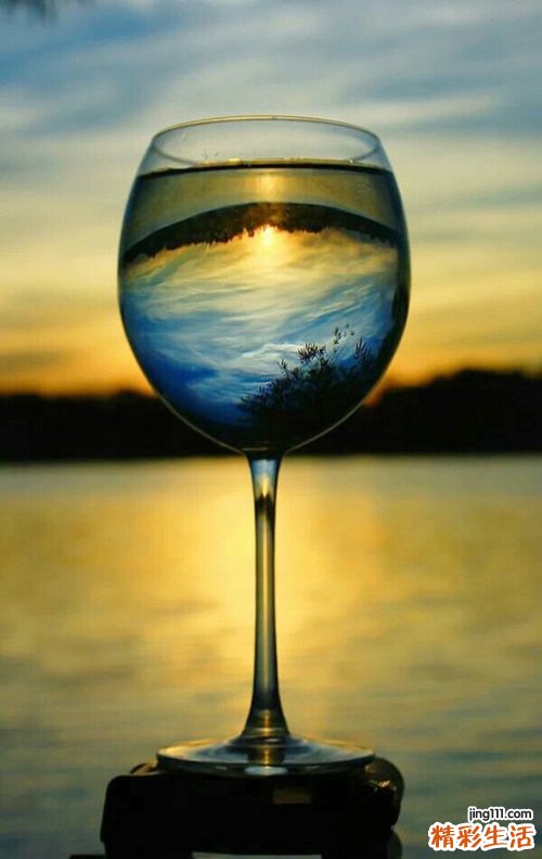 都淋藤酒