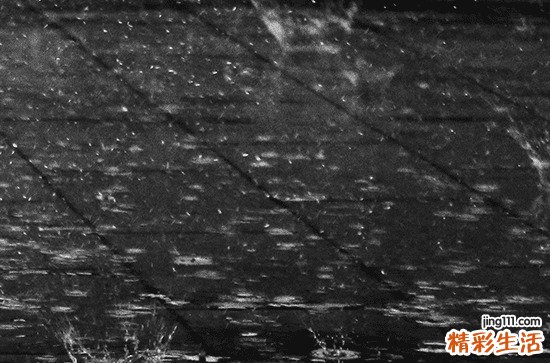 下雨天说说简短一句话 下雨天心情语录