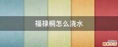 福禄桐怎么浇水