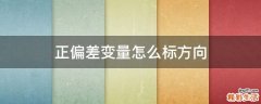 正偏差变量怎么标方向