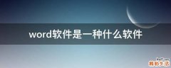 word软件是一种什么软件
