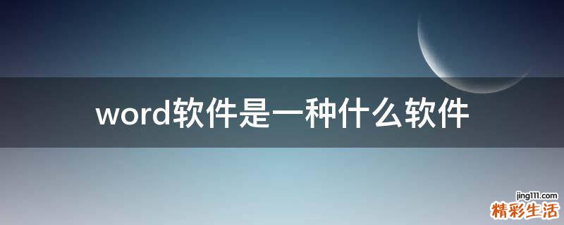 word软件是一种什么软件