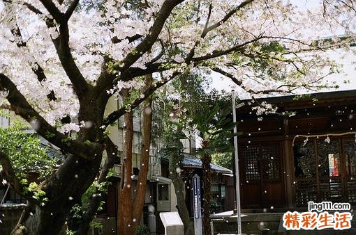 夏季美容护肤知识