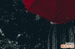 下雨天心情忧伤文案 下雨天心情语录