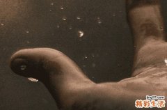 抖音上最火的下雨文案 抖音上最火的下雨说说