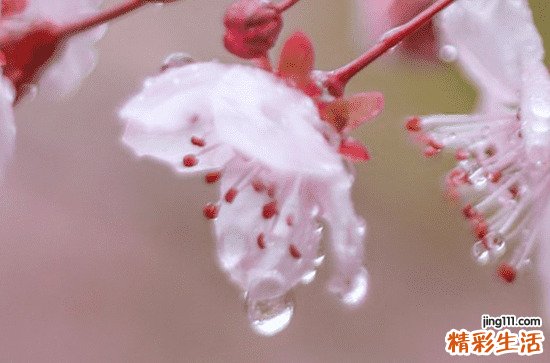 下雨天抖音热搜的文案说说 下雨天抖音热搜的句子